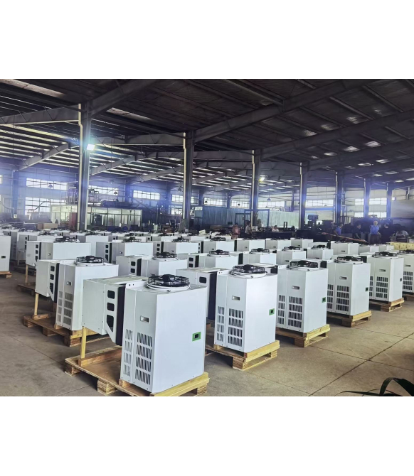 Mini Thermometer TPM-30